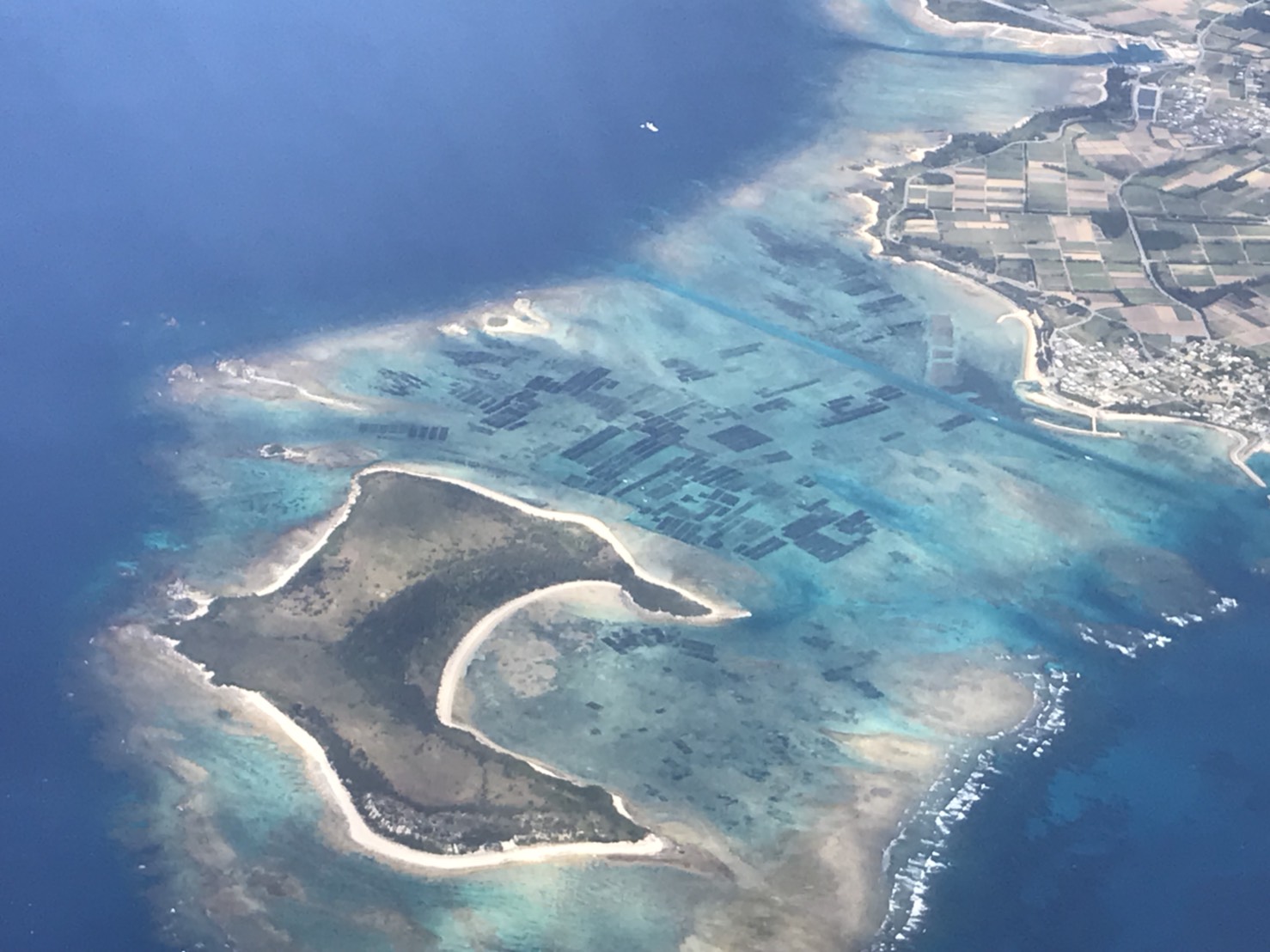 上空から見る美ら海の広大なもずく農場